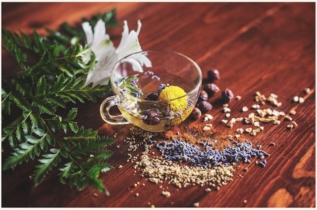 Natural medicine – a growing force in world healthcare